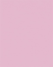 Dekoračný kartón, 2 stranný, 50x70 cm, 220 g, 10 listov, FOLIA, svetloružový