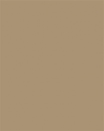 Dekoračný kartón, 2 stranný, 50x70 cm, 220 g, 10 listov, FOLIA, prírodný hnedý