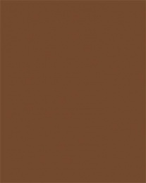 Dekoračný kartón, 2 stranný, 50x70 cm, 220 g, 10 listov, FOLIA, čokoládovo hnedý